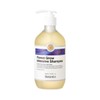 Botamix Forest Grow Intensive Shampoo 500ml Hair Loss Symptom Relief / 보타믹스 포레스트 그로우 인텐시브 샴푸 500ml 탈모증상완화