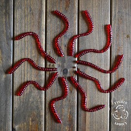 FISHIN ADDICT WORM GRUB soft plastic drop shot 10 pack realistic with micro glitters 115mm (4.5’’) / 3g (0.11oz)