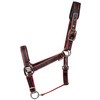CATAGO COB Halter Small Black/Red
