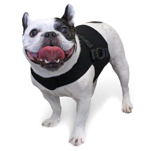 Walkin' Front Dog Vest Harness | No Pull Harness | Designed for Small Dogs with Broad Chests | Compatible with Dog Wheelchair