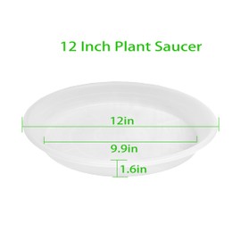 Grjoprt 6 Pack of 12 inch Clear Plant Saucer Plant Tray, Plastic Plant Saucer 12 inch, Heavy Duty Clear Plant Tray for Pots, Plant Saucers for Indoors Planter, Garden Water Plate Bowls 10"/11"/12"