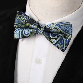 Epoint EBD1B04-06 - Set de pajarita de microfibra multicolor, Ebdb0118-steel Blue Green, Talla única