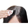TO-PLAN Compact Black Gray Hair Dye 1 Piece