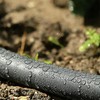 Gilmour 5/8" x 50' Round Weeper Soaker Hose for Garden
