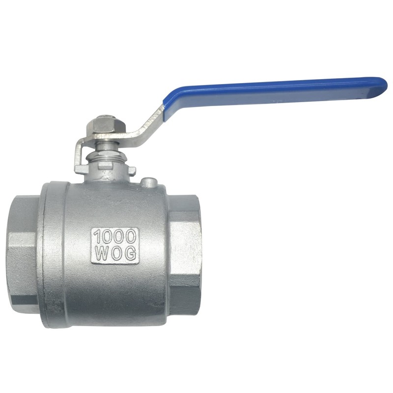 DAN SPEED 2" NPT Female 316 Stainless Steel Full Port