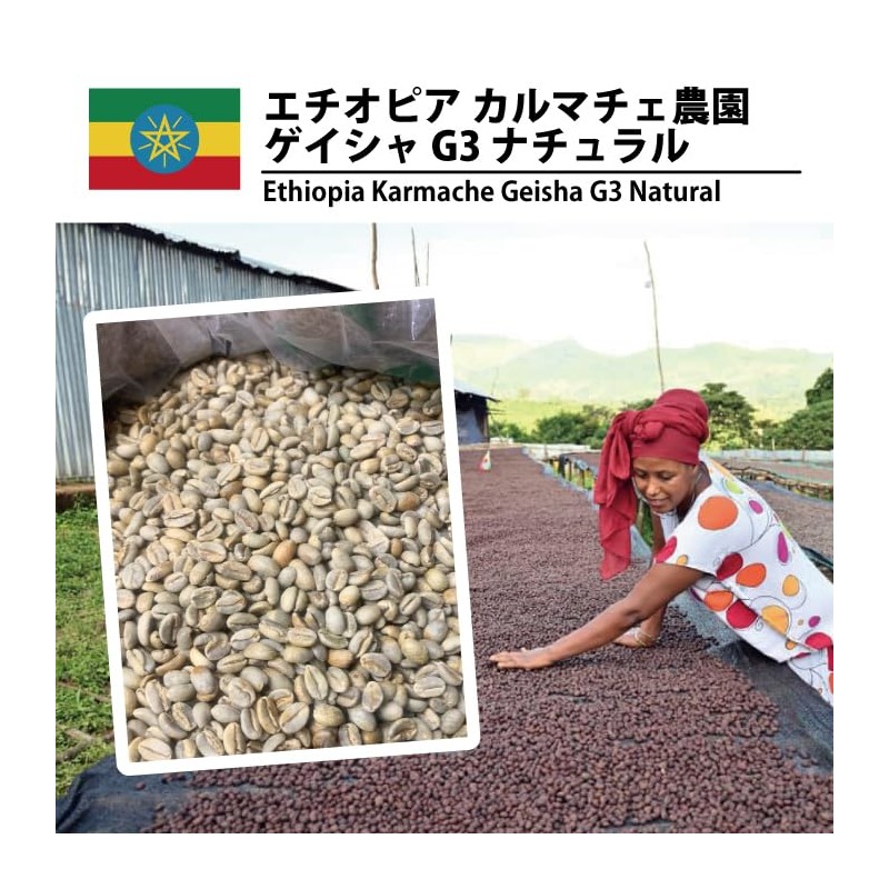 Matsuya Coffee Raw Beans Trial Tasting Pack (3.5 oz (100