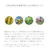 Do Organic Refining Hair Oil Rich Hair Oil Body