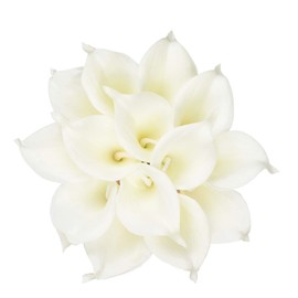 HoveBeaty Calla Lily Bridal Wedding Festival Decor Bouquet Real Touch Latex Flower Bouquet Pack of 20 (Pure White)