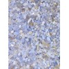 Bulk 1lbs Bag of Agate - Blue Lace Agate Polished