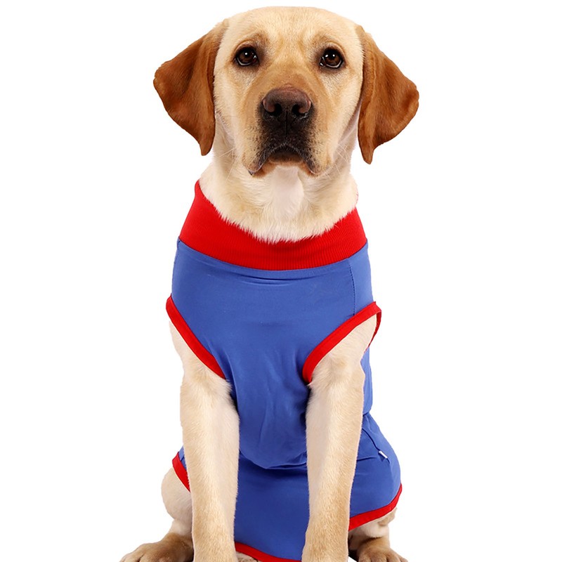 Dog Recovery Suit Stretchy Prevent Licking Adjustable Pet Post Surgery