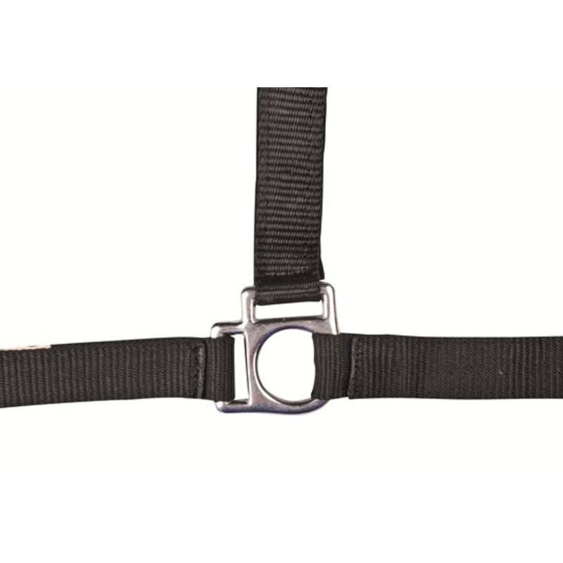 HKM Stars 558526 Headcollar Thoroughbred Dark Blue