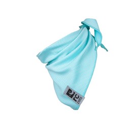 RC Pets Products Zephyr Cooling Bandana, Small Medium, Aqua (70003015)