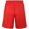 Kappa Men's Borgo Shorts, red, XL