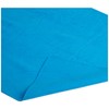 CleanTools The Absorber - Toalla de secado, Sencillo, Azul, 29