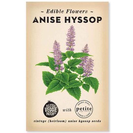 The Little Veggie Patch Co Anise Hyssop Heirloom Seeds, 1 pack