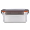 Generic Stainless Steel Rectangular Food Storage Container, 19cm x 9cm