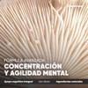 Nootrópico Melena de León, Bacopa Monnieri, Huperzina A y L-Teanina