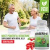 DOCTOR RECOMMENDED SUPPLEMENTS Berberine Plus 1200mg Per Serving - 120