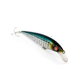 EJA 115 – Esca Artificiale per la Pesca a Spinning, Jerk Minnow 115 mm 16 g – Slow Floating, Nuoto Naturale, Valido per un gran numero di Predatori Marini e d’Acqua Dolce (CEF)