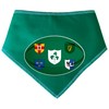 Spoilt Rotten Pets Rugby Ball Shaped Flag Design Wales Italy