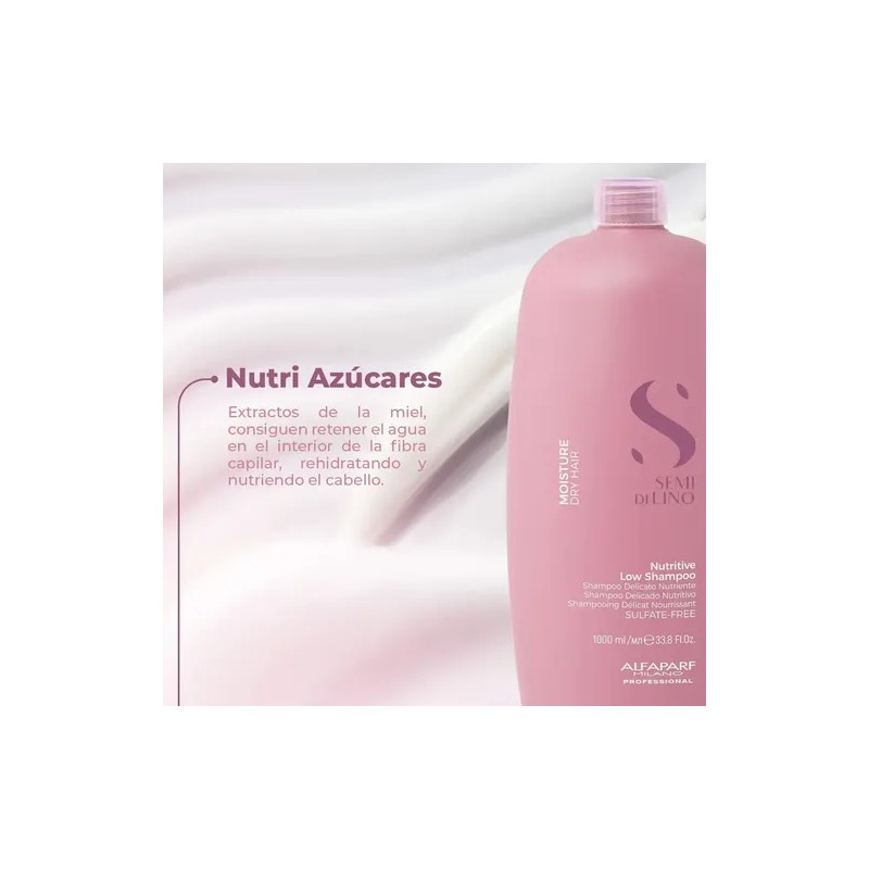 Shampoo Para Cabello Alfaparf Nutritive Semi Di Lino 1 Lt