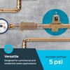 Cash Acme 3/4 Inch EB75 FPT x FPT Pressure Regulator