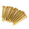 Kodrily Gold Small Nails, 100PCS Hardware Nails Assortment Kit, Round