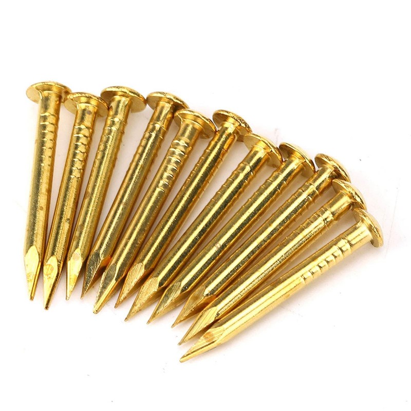 Kodrily Gold Small Nails, 100PCS Hardware Nails Assortment Kit, Round