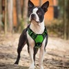 rabbitgoo Dog Harness Small Sized, No Pull Dog Vest with