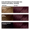 L'Oreal Paris Feria Multi-Faceted Shimmering Permanent Hair Color, Chocolate Cherry,