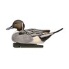 Avian-X Top Flight Pintail Decoys 6 Pack, One Size, (8082)