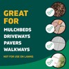 Spruce Weed Killer Spray - Snap & Spray Weed &