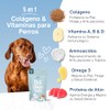 Altapets 5 en 1 Colágeno para Perros - Articulaciones, Cadera,