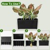 2 PCS Aquarium Plant Holder Top Hanging Fish Tank Plant