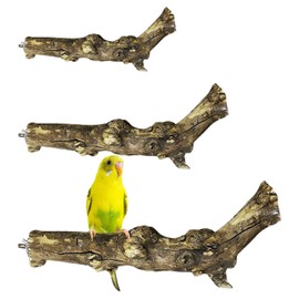 PINVNBY 3 Sizes Natural Bird Perches Wooden Parakeet Perches Bird Perches for Cage Parrot Chewing Stick Paw Grinding Exercise Training Bird Cage Accessories for Budgies Conures Cockatiels Lovebirds