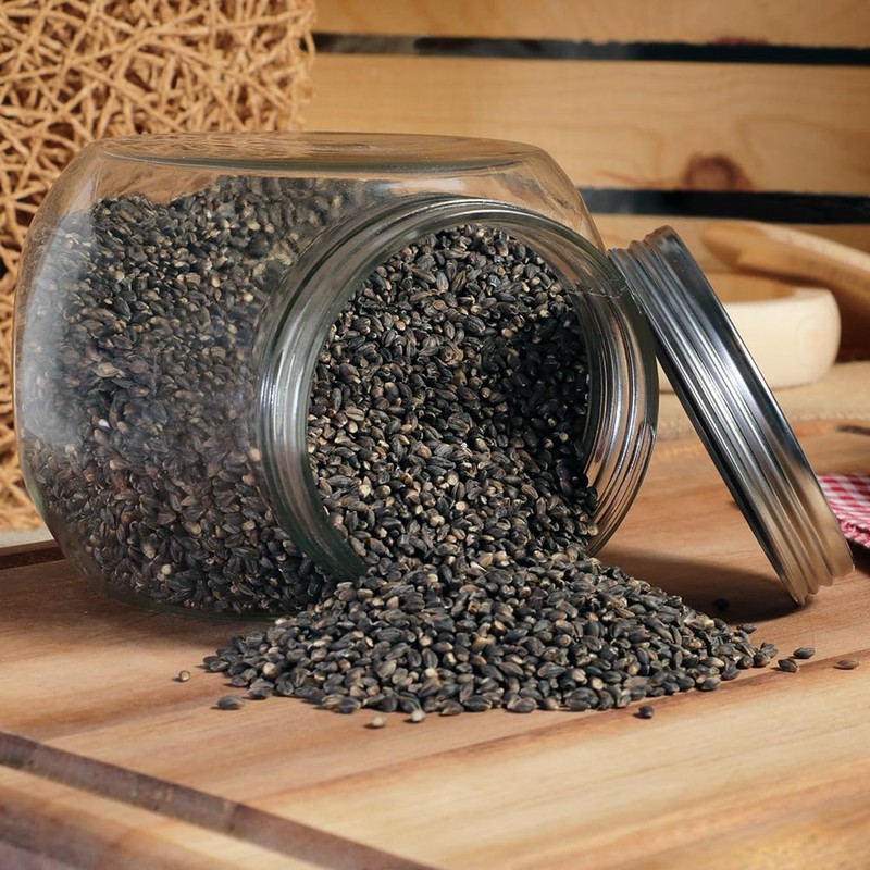 Organic Black Nile Barley - 3lbs (Pack of 2)