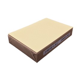 NO.2180100 Color Double-Sided Plain Postcard Thick, Kishu Color High Quality, Super Thick (100 x 148), Pack of 100 (Lemon)
