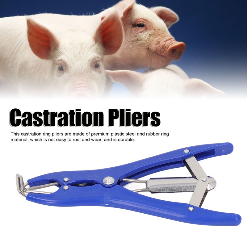Castration Plier with 100pcs Red Castrator Rubber Rings Tail Docking