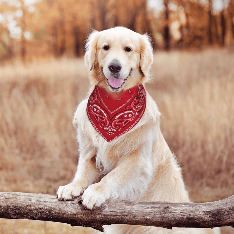 Red Paisley Dog Bandana Scarf Triangle Bibs Pet Accessories Cat