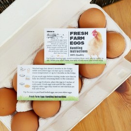 Havongki 100 Pack Premium Fresh Farm Eggs Handling Instructions Care Accessories Cards Labels | Egg Blank Cartons 4 6 12 15 18 30 48 50 Count Basket Box Container Storing Extra Organizer -M11CH100