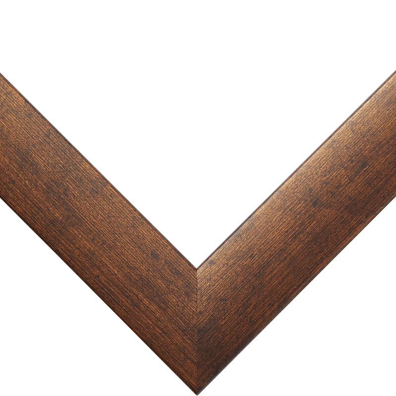 Craig Frames Contemporary Picture Frame, 14 x 18 Inch, Rustic