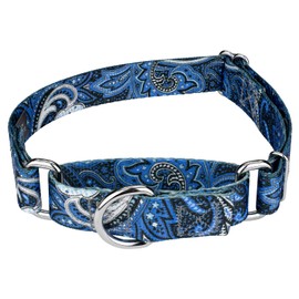 Country Brook Petz - Blue Paisley Martingale Dog Collar - Paisley Collection Featuring Classy Designs (5/8 Inch, Small)