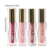 HECI S-Curve Moisturizing Lip Gloss Vegan Cruelty Free Lip Oil