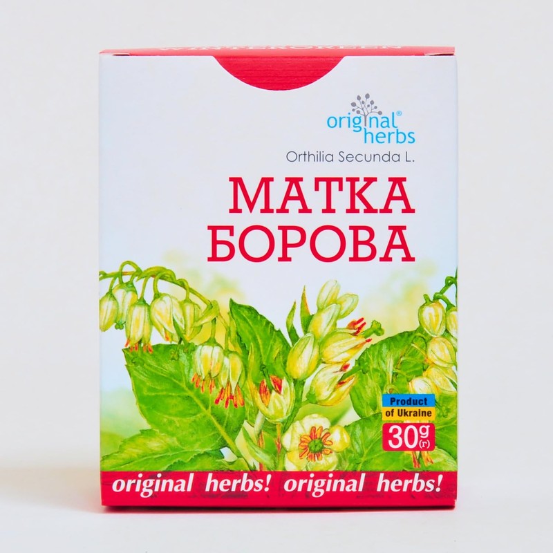 WINTERGREEN, ORTHILIA SECUNDA L. | Original Herbs Herbal Tea –