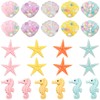Shell Mix Decorative Shells, RoadLoo 24 Pieces Natural Conch Maritime