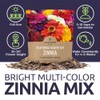 Zinnia Seeds - California Giants Mix - Large 1 Ounce