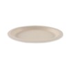 FRANZ MENSCH NatureStar Organic Plates, Oval Sugar Cane, Natural, Length