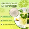 Lime Powder Freeze-Dried Lime Juice Flavor 1.25 lb Rich in