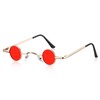 Photect Vintage Metal Frame Glasses Retro Small Sunglasses Hippy Sunglasses