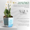 alqua 17CM Transparent Orchid Pot – Round Self Watering Planter
